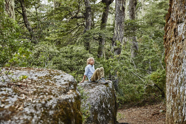 Чили, Puren, Nahuelbuta National Park, boy sitting on a rock in forest — стоковое фото