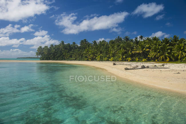 Ilhas Cook, Rarotonga, lagoa Aitutaki, praia de areia branca e praia de palmeiras — Fotografia de Stock