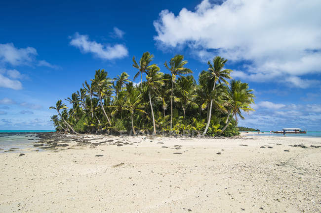 Islas Cook, Rarotonga, laguna de Aitutaki, playa de arena blanca y playa de palmeras - foto de stock