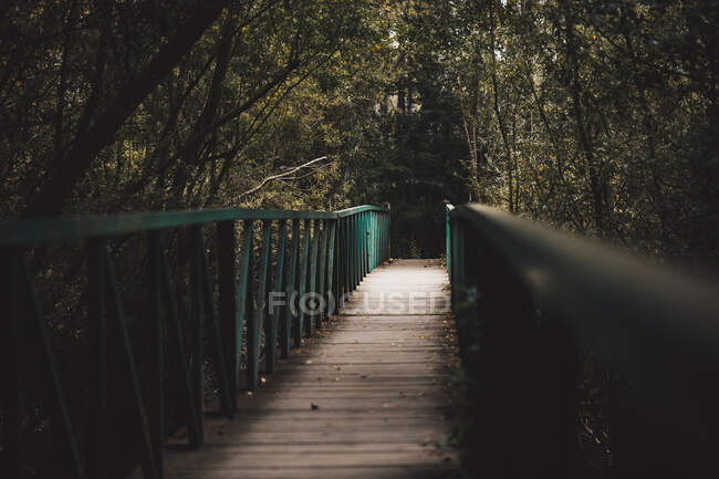 Ponte in legno nella foresta — Foto stock