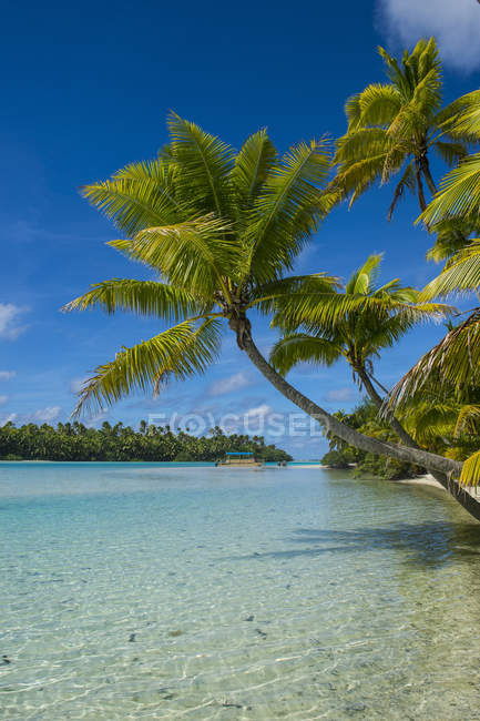 Isole Cook, Rarotonga, Laguna di Aitutaki, spiaggia di sabbia bianca e spiaggia di palme — Foto stock