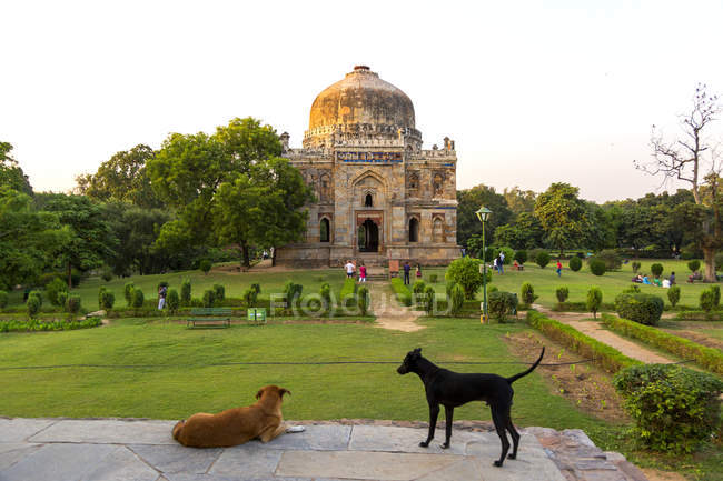 India, Delhi, Nuova Delhi, Giardini di Lodi, Sheesh Gumbad — Foto stock
