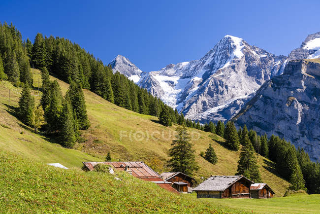 Suíça, Bernese Oberland, Birg, Blumental perto de Muerren — Fotografia de Stock