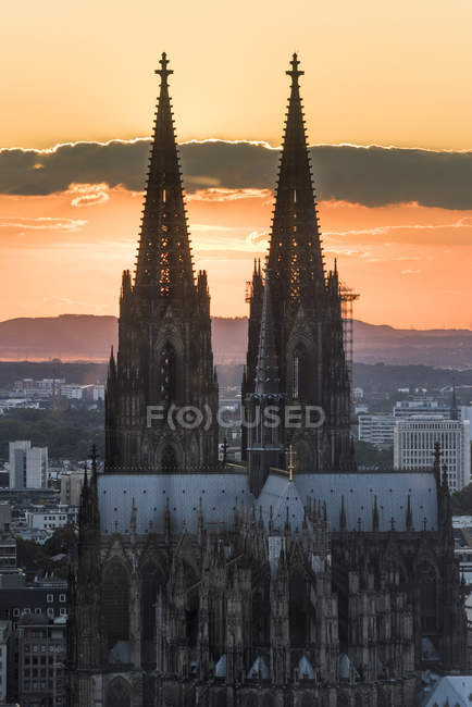 Deutschland, Köln, Ostseite des Kölner Doms bei Sonnenuntergang — Stockfoto
