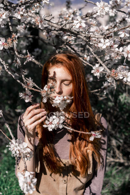 Redheaded woman smelling tree blossoms — Stock Photo
