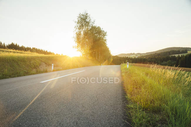 Австрия, пустая дорога в сельской местности — стоковое фото