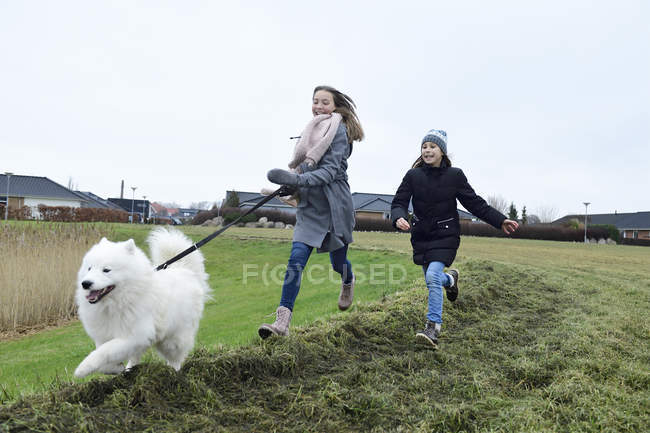 Dos chicas corriendo en un prado con perro divirtiéndose - foto de stock