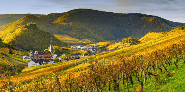 Німеччина, Рейнланд-Пфальц, Ейфель, AHR Valley, Майшoss, виноградник восени — стокове фото