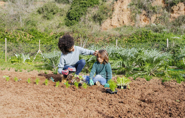 Madre e hijo plantando plántulas de lechuga en huerta - foto de stock