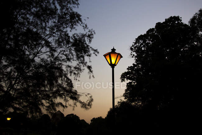 Indien, delhi, new delhi, lodi gardens, park, laterne — Stockfoto