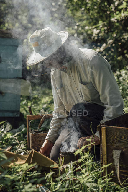 Russia, Apicoltore e fumatore, fumo — Foto stock