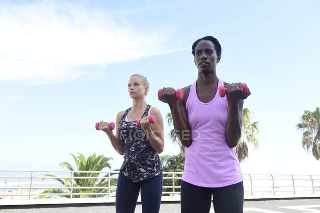 Две женщины занимаются фитнесом с гантелями на свежем воздухе — стоковое фото