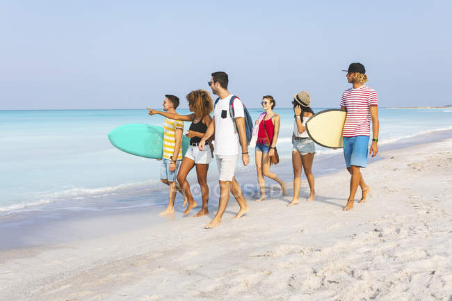 Grupo de amigos caminando por la playa, llevando tablas de surf - foto de stock
