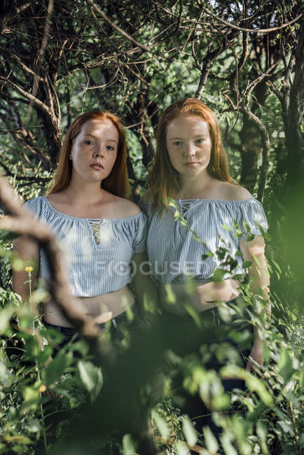 Redheaded twins at a tree — Stock Photo