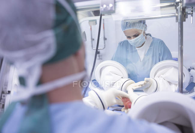 Scientists processing human tissue in insulator laboratory — Stock Photo