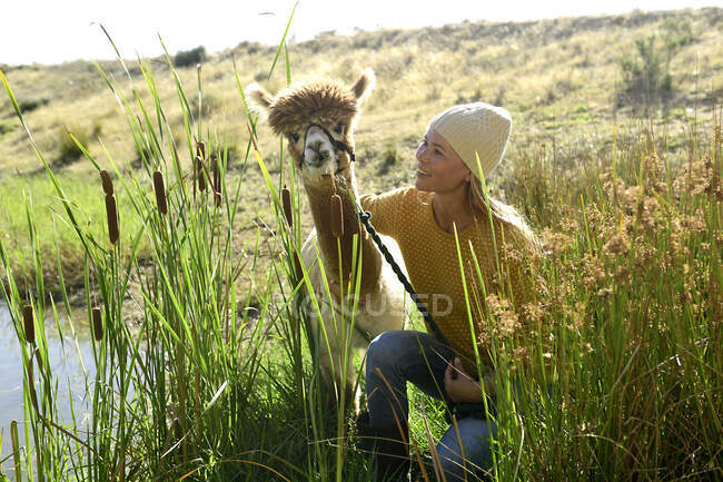 Lächelnde reife Frau mit angeleintem Alpaka in der Natur — Stockfoto