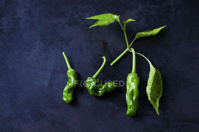 Verde peperonis aon fundo escuro — Fotografia de Stock