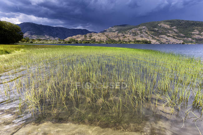 Spagna, Provincia di Zamora, Parco Naturale del Lago di Sanabria — Foto stock