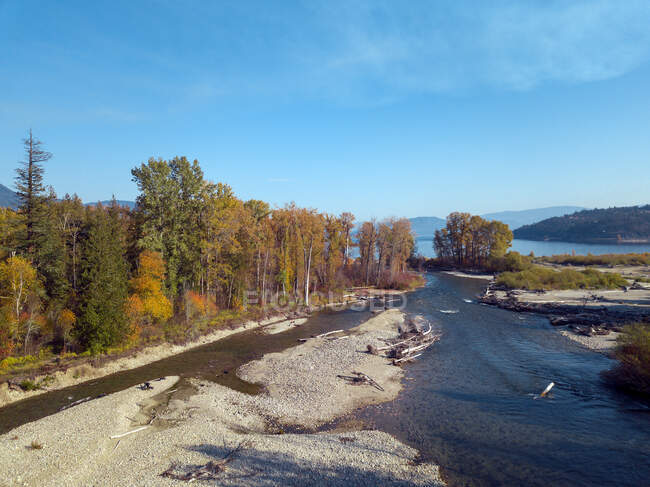 Канада, Британская Колумбия, Воздушный вид на реку Адамс во время прогона лосося осенью — стоковое фото