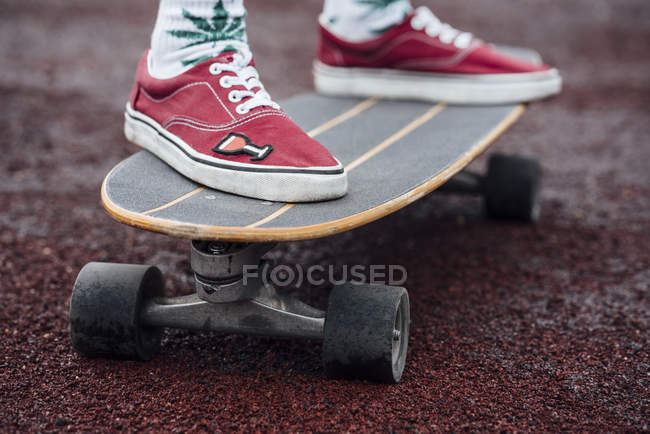 Pieds de femme en chaussettes et baskets sur skateboard sculpteur — Photo de stock