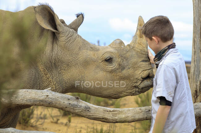Ragazzo accarezzando un rinoceronte bambino — Foto stock