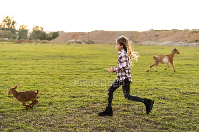 Fille courir derrière jeune chèvre sur pâturage — Photo de stock