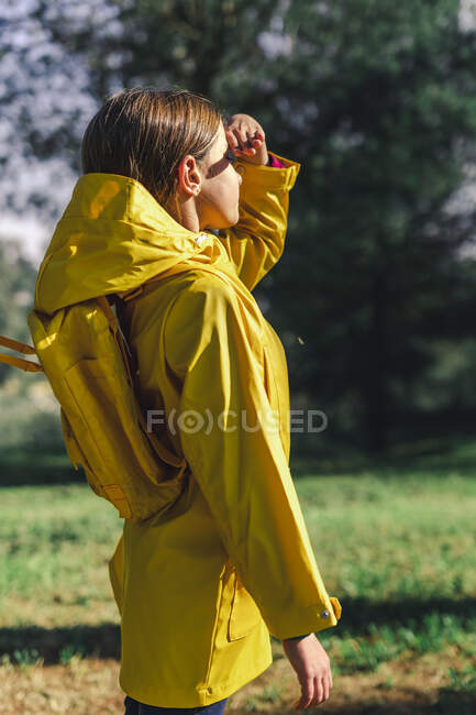 Chica vistiendo impermeable amarillo y mochila amarilla de pie a la luz del sol en el claro del bosque - foto de stock