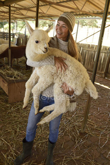 Porträt einer lächelnden reifen Frau, die junge Alpakas auf dem Arm trägt — Stockfoto