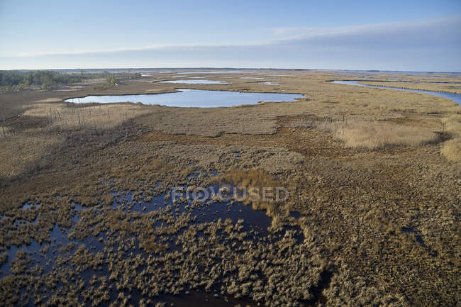 USA, Maryland, Cambridge, Blackwater National Wildlife Refuge, Blackwater River, Blackwater Refuge is experiencing sea level rise that is flooding this marsh — Stock Photo