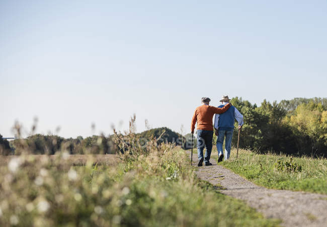 Two Old Friends Taking A Stroll Through The Fields Talking About Old Times Arm Around Retirement Stock Photo 283108818