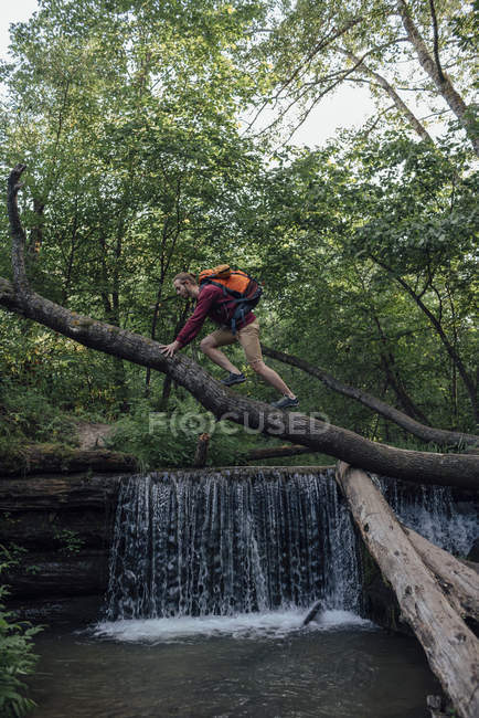 Joven excursionista con mochila cruzando el agua en el tronco del árbol en el bosque - foto de stock