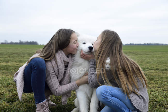 Дві дівчинки присідають на лузі і цілують собаку. — стокове фото