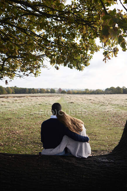 Rear view of couple embracing on tree trunk in a park — Stock Photo