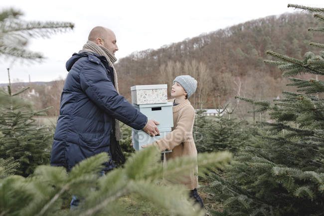 Padre e figlio che trasportano scatole regalo su una piantagione di alberi di Natale — Foto stock