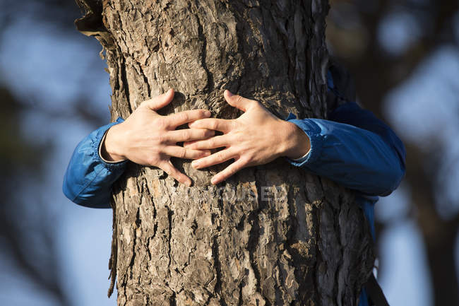 Hands of a man hugging a tree — home, Environmental Issues - Stock Photo |  #289677960