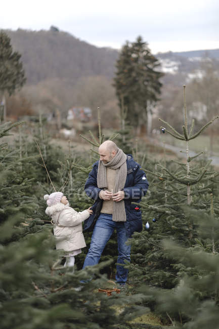 Father and daughter decorating Christmas tree on a plantation — Stock Photo