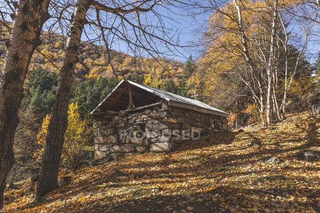Georgia, Grande Caucaso, Stepantsminda, piccola chiesa forestale — Foto stock