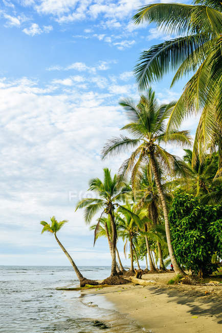 Costa Rica, Chiquita Beach — Stock Photo
