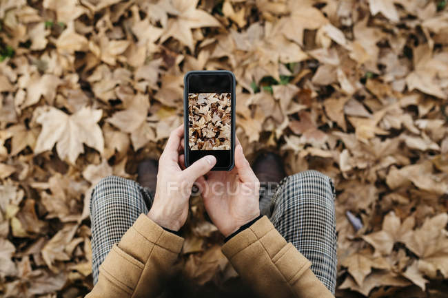 Close-up of man taking cell phone picture of autumn leaves — Stock Photo