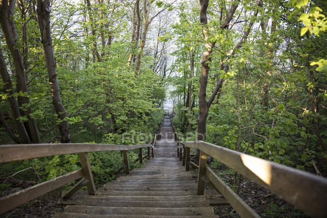 Germania, Ruegen, Capo Arkona, Koenigstreppe, passi a Capo Arkona — Foto stock