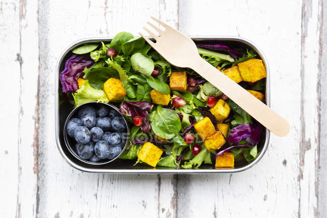 Salada mista com tofu torrado, repolho vermelho, sementes de romã, mirtilos e curcuma em lancheira — Fotografia de Stock