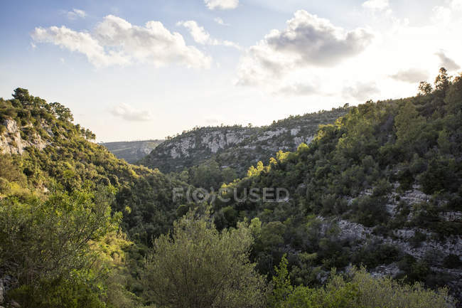 Sizilien, syrakus provinz, noto antica, blick auf canyon cava del carosello — Stockfoto