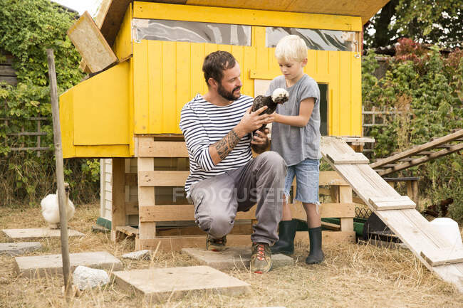 Батько і син з польськими курячими курятами в садку. — стокове фото