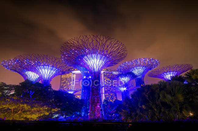 Singapore, Marina Bay, Giardini vicino alla baia, Super alberi di notte — Foto stock