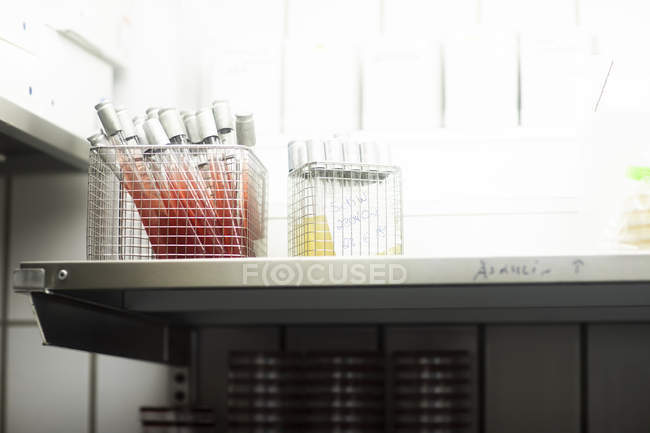 Amostras de laboratório em tubos de ensaio — Fotografia de Stock