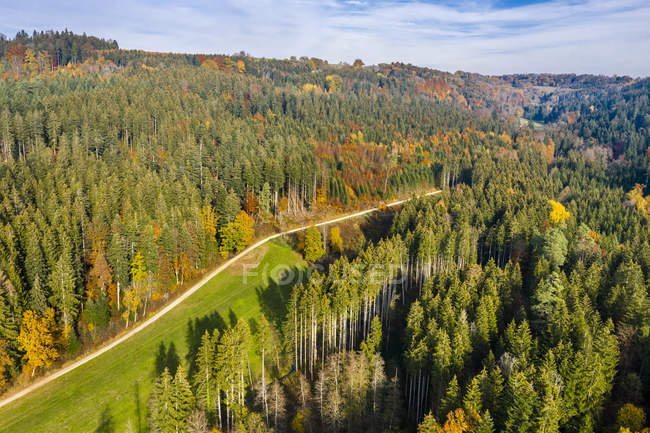 Alemania, Baden-Wuerttemberg, Bosque de Suabia, Vista aérea del bosque en otoño — Stock Photo