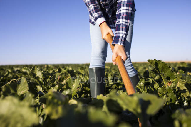 Молода жінка фермер з мотузкою на полі — стокове фото