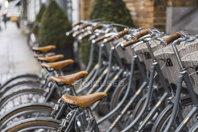 Данія Копенгаген Роу велосипедів — стокове фото