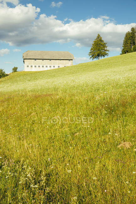 Австрія, Верхня Австрія, Мюльвіртель, дім ферм. — стокове фото