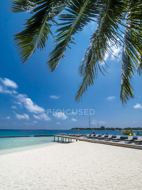 Maledives, Ross Atoll, espreguiçadeiras na praia — Fotografia de Stock